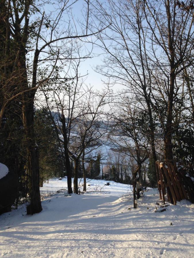 Villa 225 Bracciano  Eksteriør billede